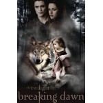 Отзывы о Сумерки. Сага. Рассвет: Часть 2