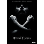 Отзывы о Черные паруса (2014)