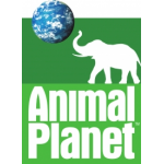 Отзывы о Animal Planet