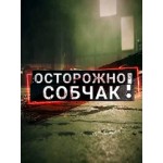 Отзывы о Шоу: Осторожно, Собчак!