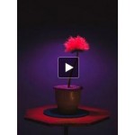 Отзывы о Малыш Джо (2019)