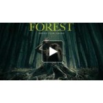 Отзывы о Фильм "Лес призраков" 2016